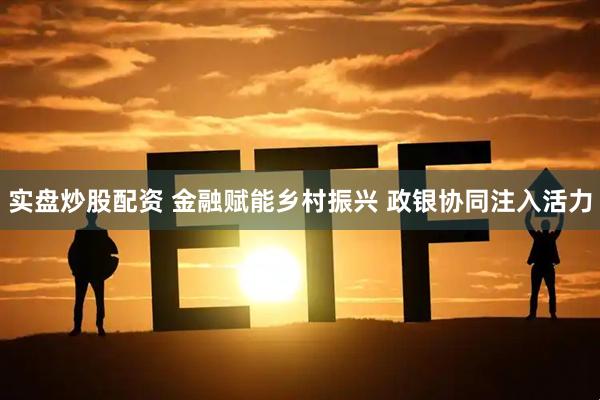 实盘炒股配资 金融赋能乡村振兴 政银协同注入活力