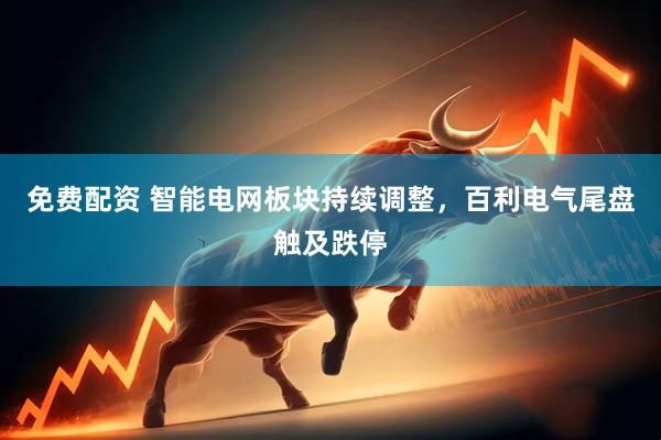 免费配资 智能电网板块持续调整，百利电气尾盘触及跌停