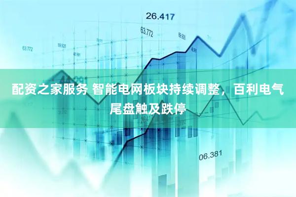 配资之家服务 智能电网板块持续调整，百利电气尾盘触及跌停