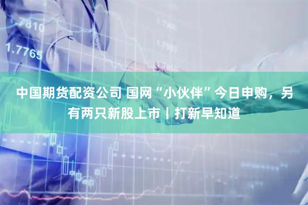 中国期货配资公司 国网“小伙伴”今日申购，另有两只新股上市丨打新早知道
