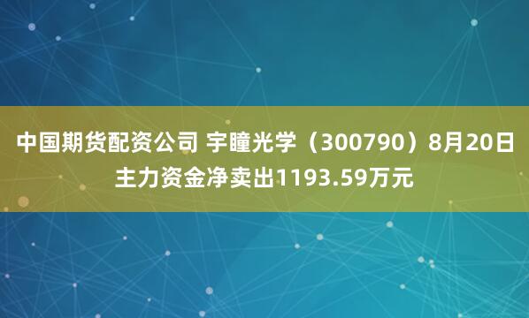 中国期货配资公司 宇瞳光学（300790）8月20日主力资金净卖出1193.59万元