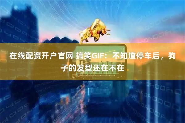 在线配资开户官网 搞笑GIF：不知道停车后，狗子的发型还在不在
